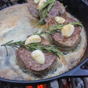 Bison Tenderloin with Cognac Cream Sauce