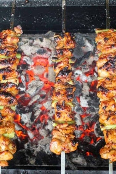 Chicken and Scallion Skewers