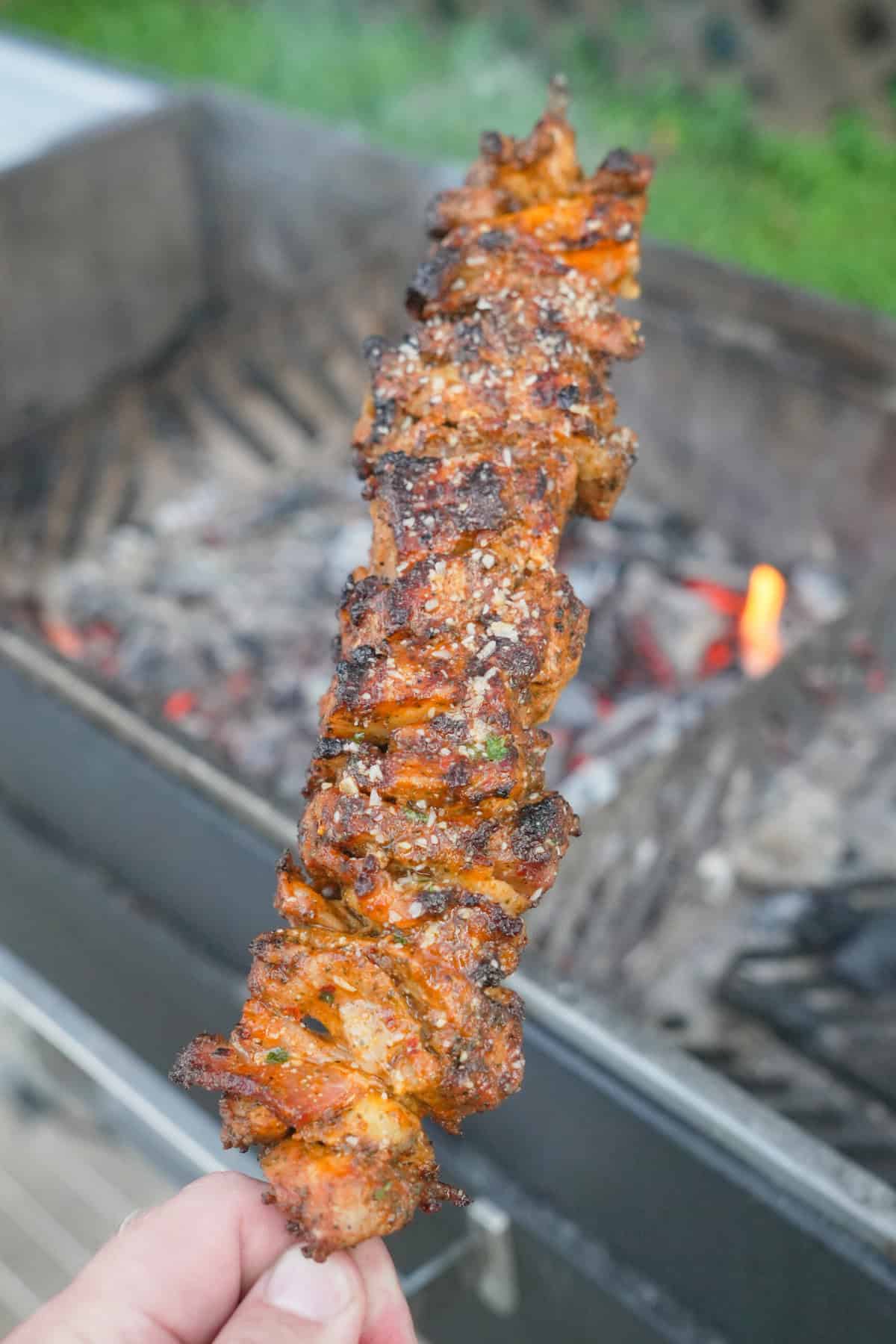A hand holding a garlic Parmesan chicken skewer for a close up in front of the grill