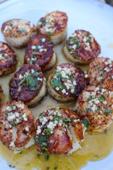 Cilantro Lime Butter Scallops