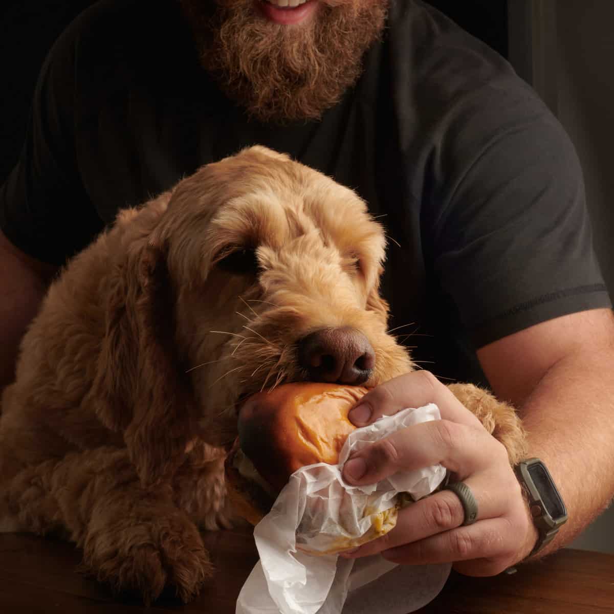 Brinkley living his best life.