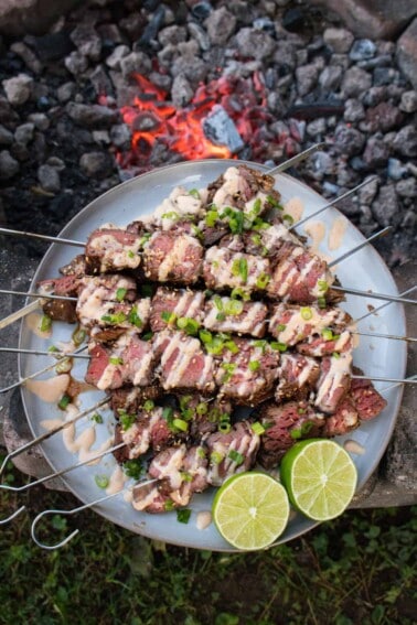 teriyaki bourbon steak skewers