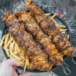 A hand holding a plate of garlic Parmesan chicken skewers on top of fries