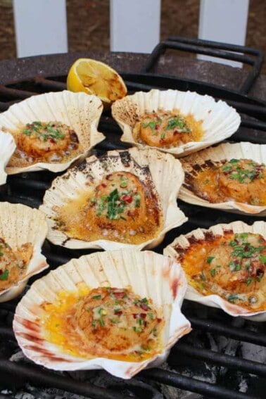 Grilled Scallops in the Shell