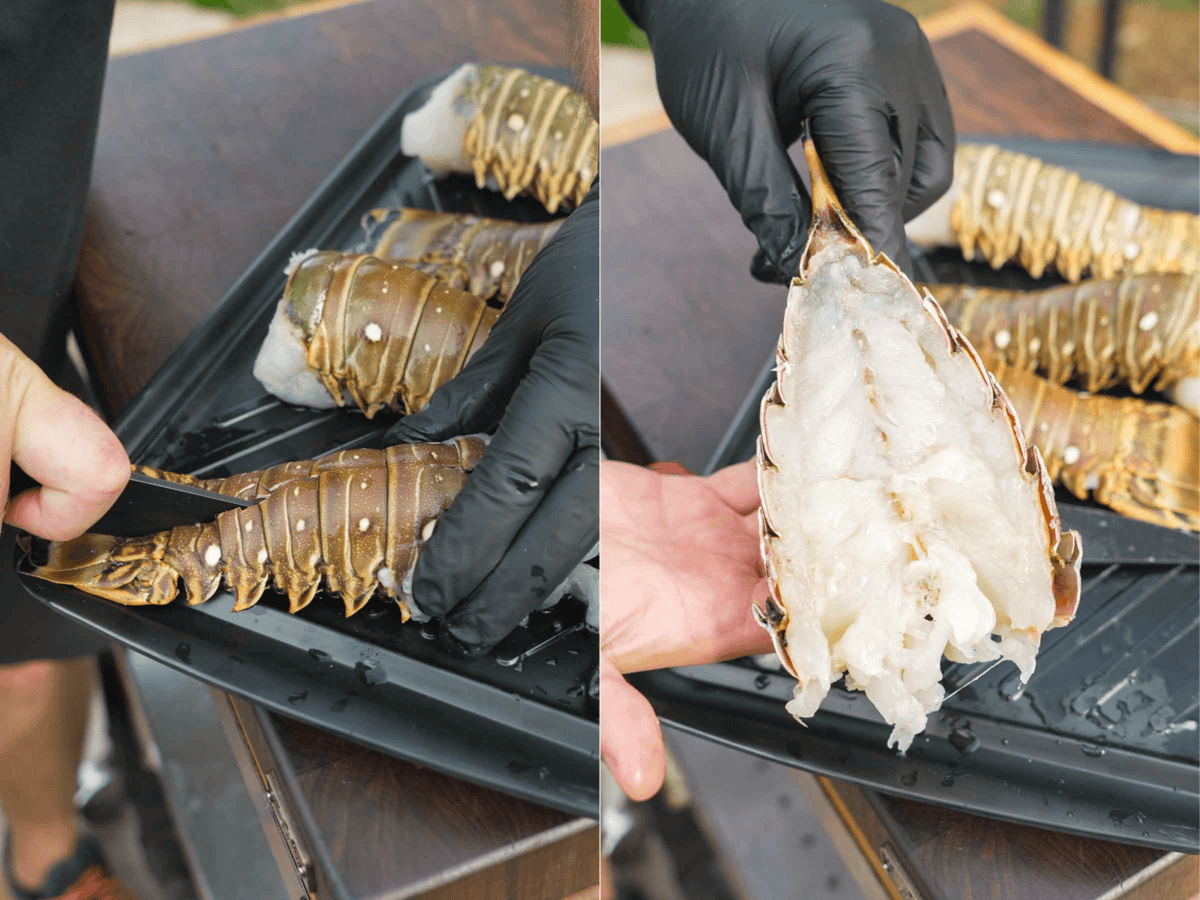 Cutting open four lobster tails for grilled lobster tails and a gloved hand displaying the meat inside